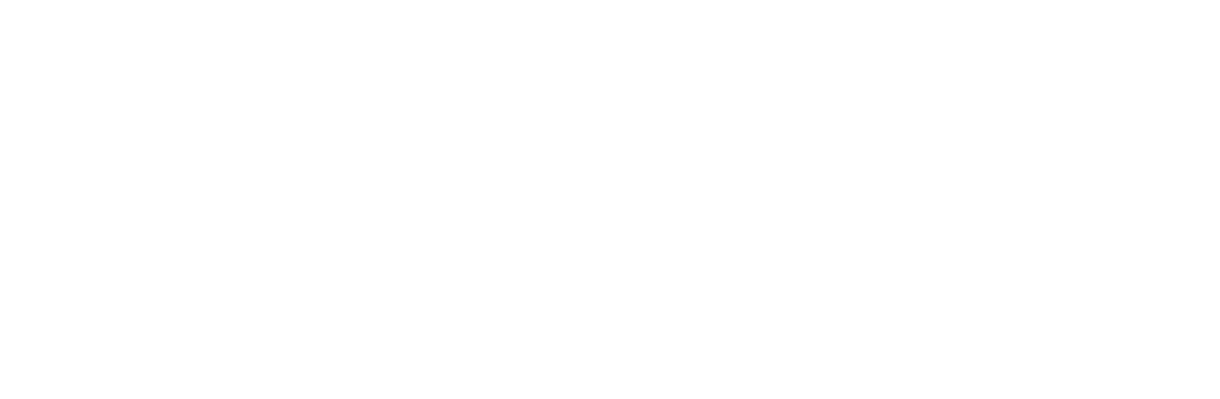 Intrapreneur
